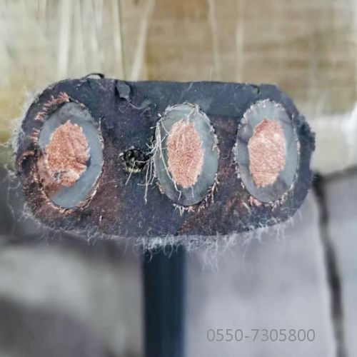 龙八- long8(国际)唯一官方网站