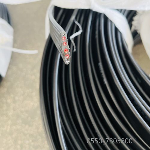 龙八- long8(国际)唯一官方网站