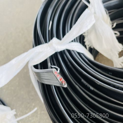 龙八- long8(国际)唯一官方网站