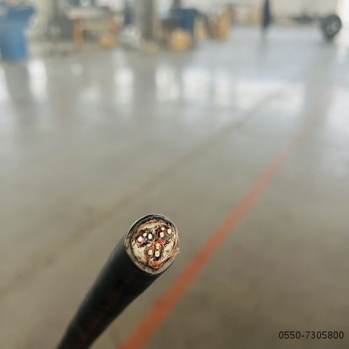 龙八- long8(国际)唯一官方网站