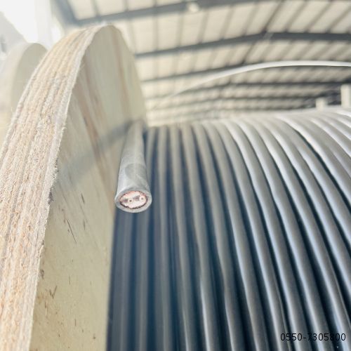 龙八- long8(国际)唯一官方网站