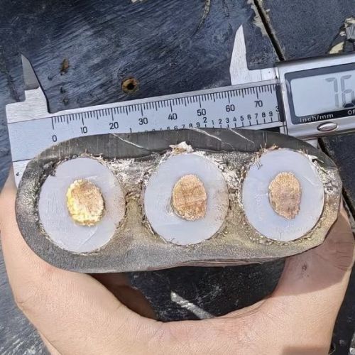 龙八- long8(国际)唯一官方网站