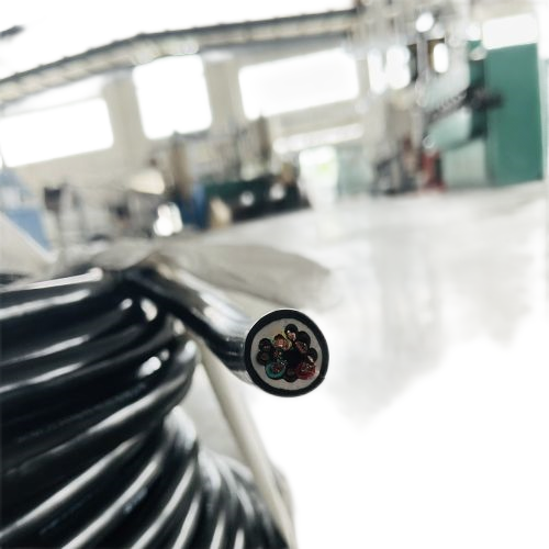 龙八- long8(国际)唯一官方网站