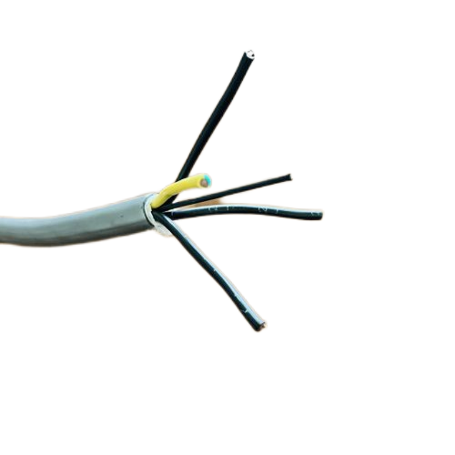 龙八- long8(国际)唯一官方网站