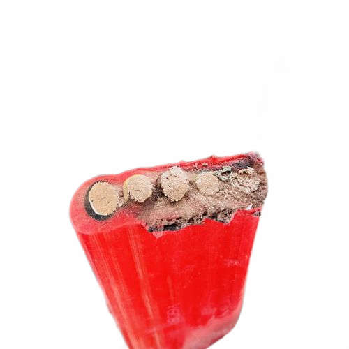 龙八- long8(国际)唯一官方网站