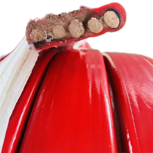 龙八- long8(国际)唯一官方网站