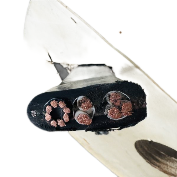 龙八- long8(国际)唯一官方网站