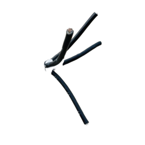 龙八- long8(国际)唯一官方网站