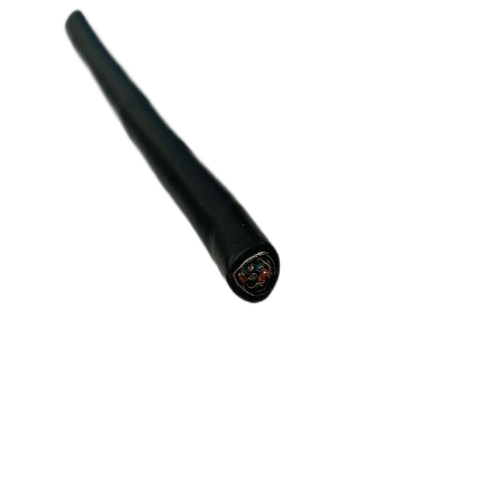 龙八- long8(国际)唯一官方网站