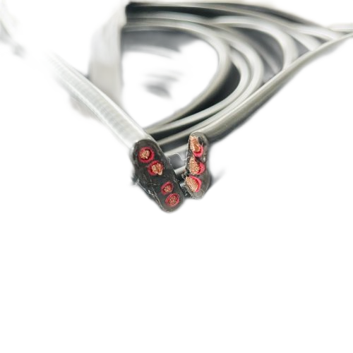 龙八- long8(国际)唯一官方网站