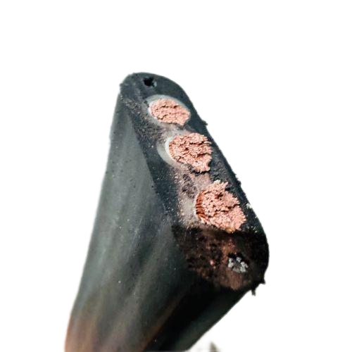 龙八- long8(国际)唯一官方网站