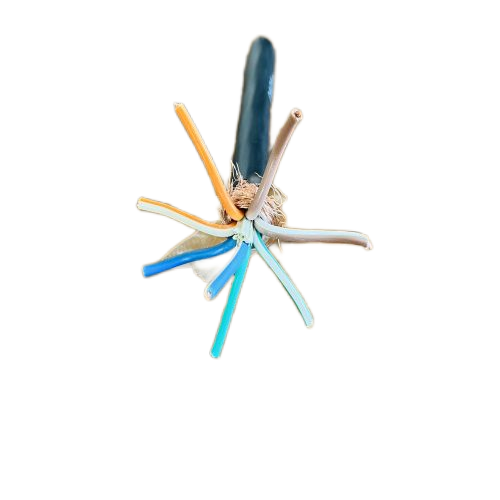 龙八- long8(国际)唯一官方网站