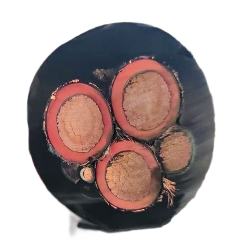 龙八- long8(国际)唯一官方网站