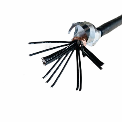 龙八- long8(国际)唯一官方网站