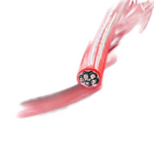 龙八- long8(国际)唯一官方网站