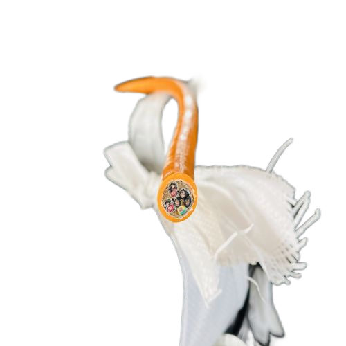 龙八- long8(国际)唯一官方网站