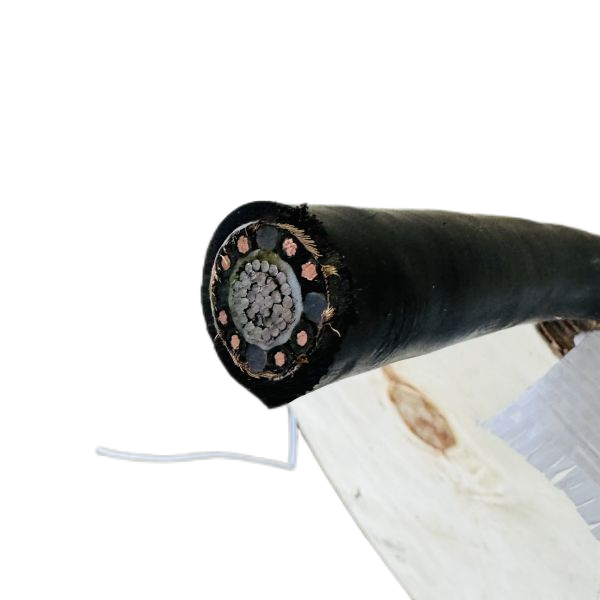 龙八- long8(国际)唯一官方网站