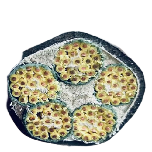 龙八- long8(国际)唯一官方网站