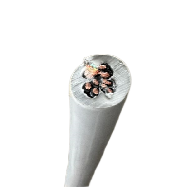 龙八- long8(国际)唯一官方网站