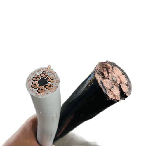 龙八- long8(国际)唯一官方网站