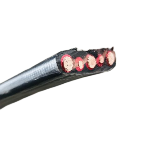 龙八- long8(国际)唯一官方网站