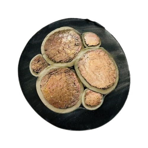 龙八- long8(国际)唯一官方网站