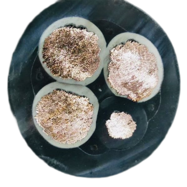 龙八- long8(国际)唯一官方网站