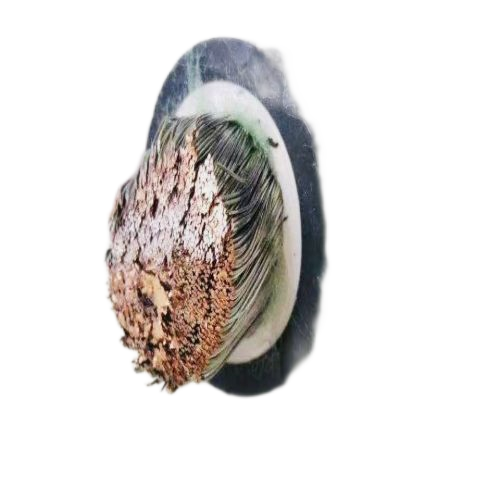 龙八- long8(国际)唯一官方网站