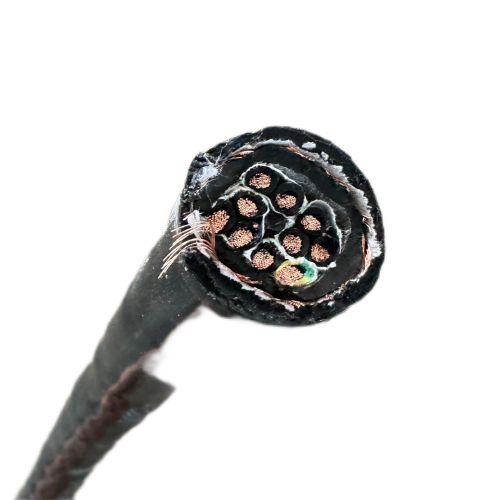 龙八- long8(国际)唯一官方网站