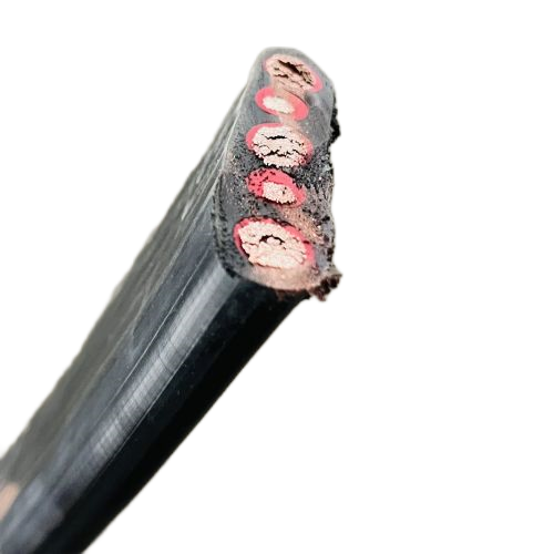 龙八- long8(国际)唯一官方网站