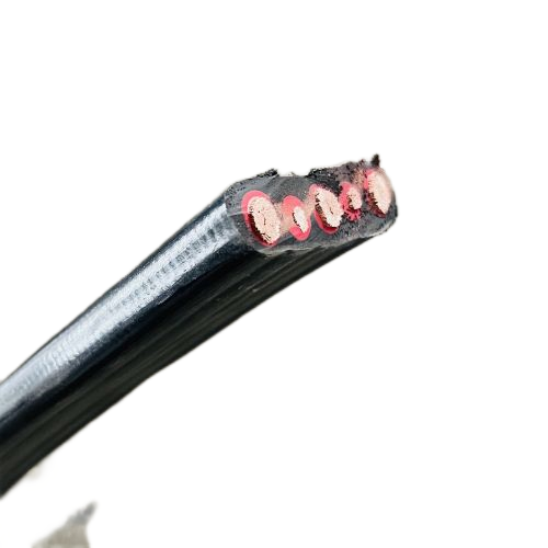 龙八- long8(国际)唯一官方网站