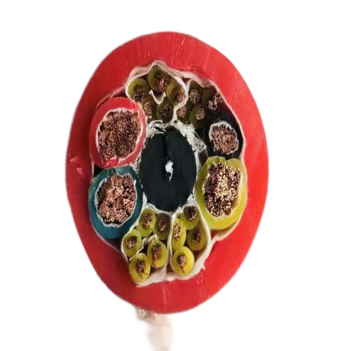 龙八- long8(国际)唯一官方网站