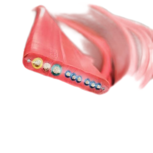 龙八- long8(国际)唯一官方网站