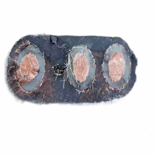 龙八- long8(国际)唯一官方网站