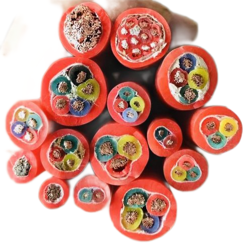 龙八- long8(国际)唯一官方网站