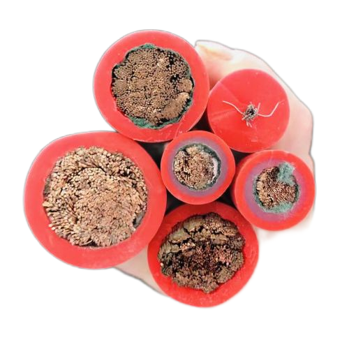 龙八- long8(国际)唯一官方网站