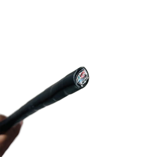 龙八- long8(国际)唯一官方网站