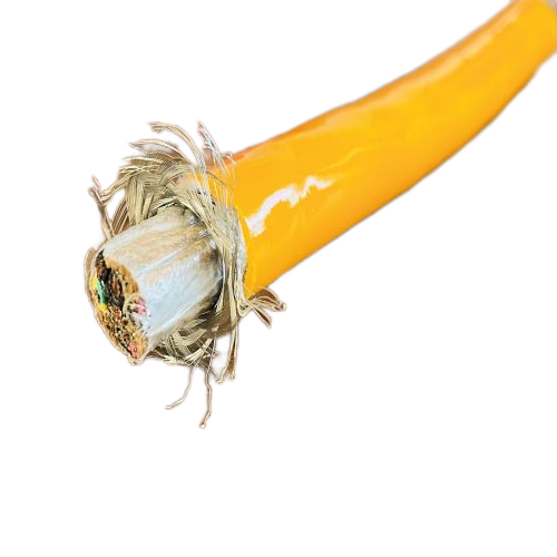 龙八- long8(国际)唯一官方网站