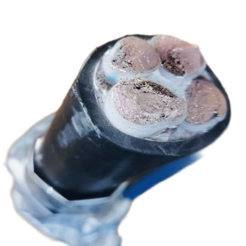 龙八- long8(国际)唯一官方网站